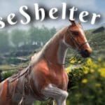 Horse Shelter 2022 Trainer