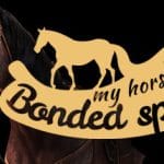 My Horse: Bonded Spirits Trainer