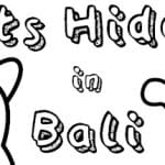 Cats Hidden in Bali Trainer