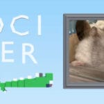 moci over it Trainer