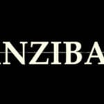ZANZIBART Trainer