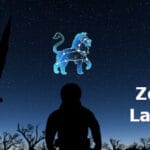 Zodiac Landing Trainer