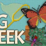 Bug & Seek Trainer