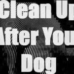Clean Up After Your Dog Trainer