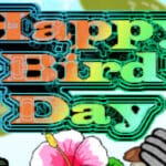 Happy Bird Day Trainer