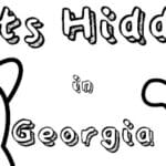 Cats Hidden in Georgia Trainer