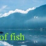 Tears of fish Trainer