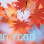 golden road Trainer