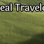 Real Traveler Trainer