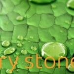 Angry stone Trainer