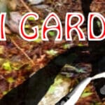 Koi Garden Trainer