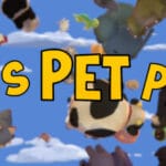 Let’s Pet Pets Trainer