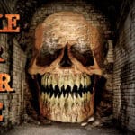 Riddle for your Life Trainer