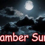 Chamber Survival Trainer