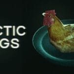 Arctic Eggs Trainer