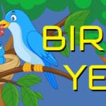 Bird Year Trainer