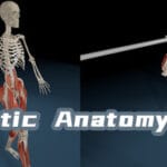 Kinetic Anatomy 3D Trainer