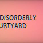 InTheDisorderlyCourtyard Trainer
