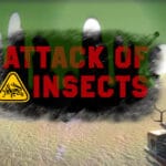 Attack Of Insects Trainer