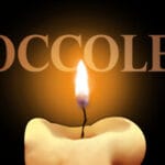 Moccoletti Trainer