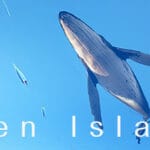 Eden Island Trainer