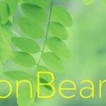 MoonBeam Trainer