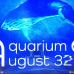 Aquarium at August 32nd Trainer