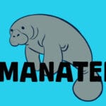 Manatee Trainer