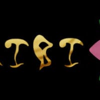 header-619