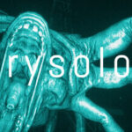 Krysolov Trainer