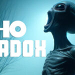 The Echo Paradox Trainer