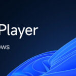 Salt Player for Windows Trainer