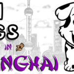 101 Dogs Hidden in Shanghai Trainer