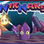 NikNaks Trainer
