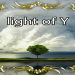 light of Y Trainer