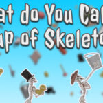 What do You Call a Group of Skeletons? – Pilot Trainer