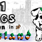101 Dogs Hidden in Ireland Trainer