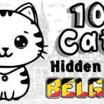 101 Cats Hidden in Belgium Trainer