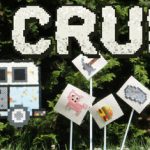 CRUFT Trainer