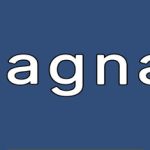 magnat Trainer