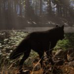 Untamed Kingdom Trainer