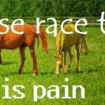Horse Race Tests: Life is Pain Trainer