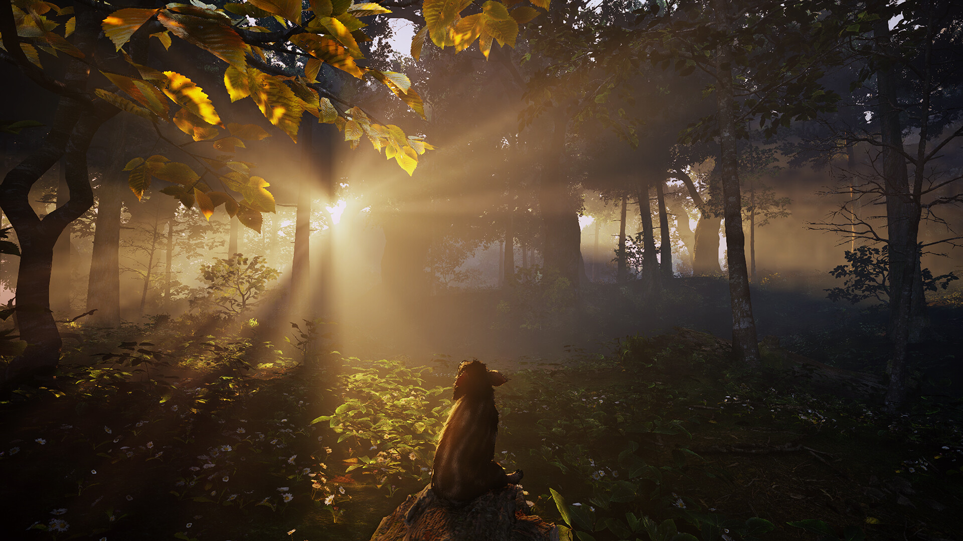 Adorable Adventures — gameplay showcase