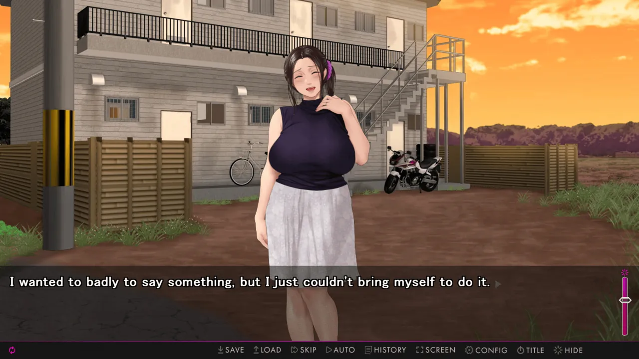 Afternoon Affairs & Helpless Housewives — story scene capture