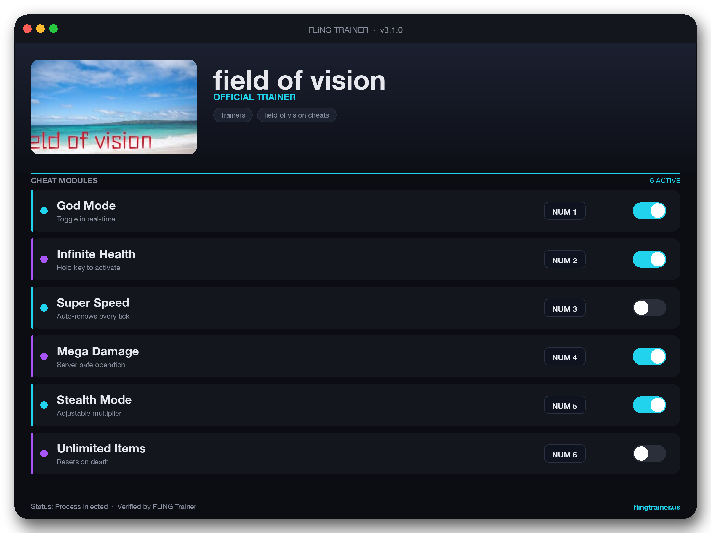 field of vision Trainer interface