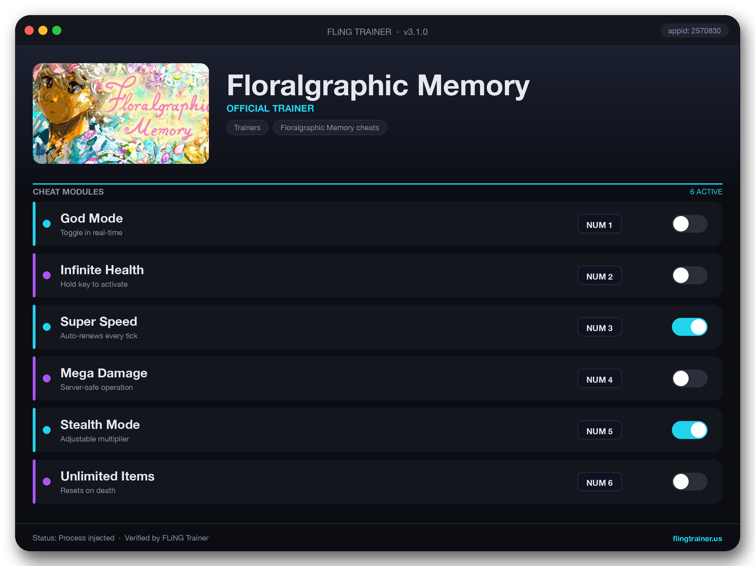 Floralgraphic Memory Trainer interface