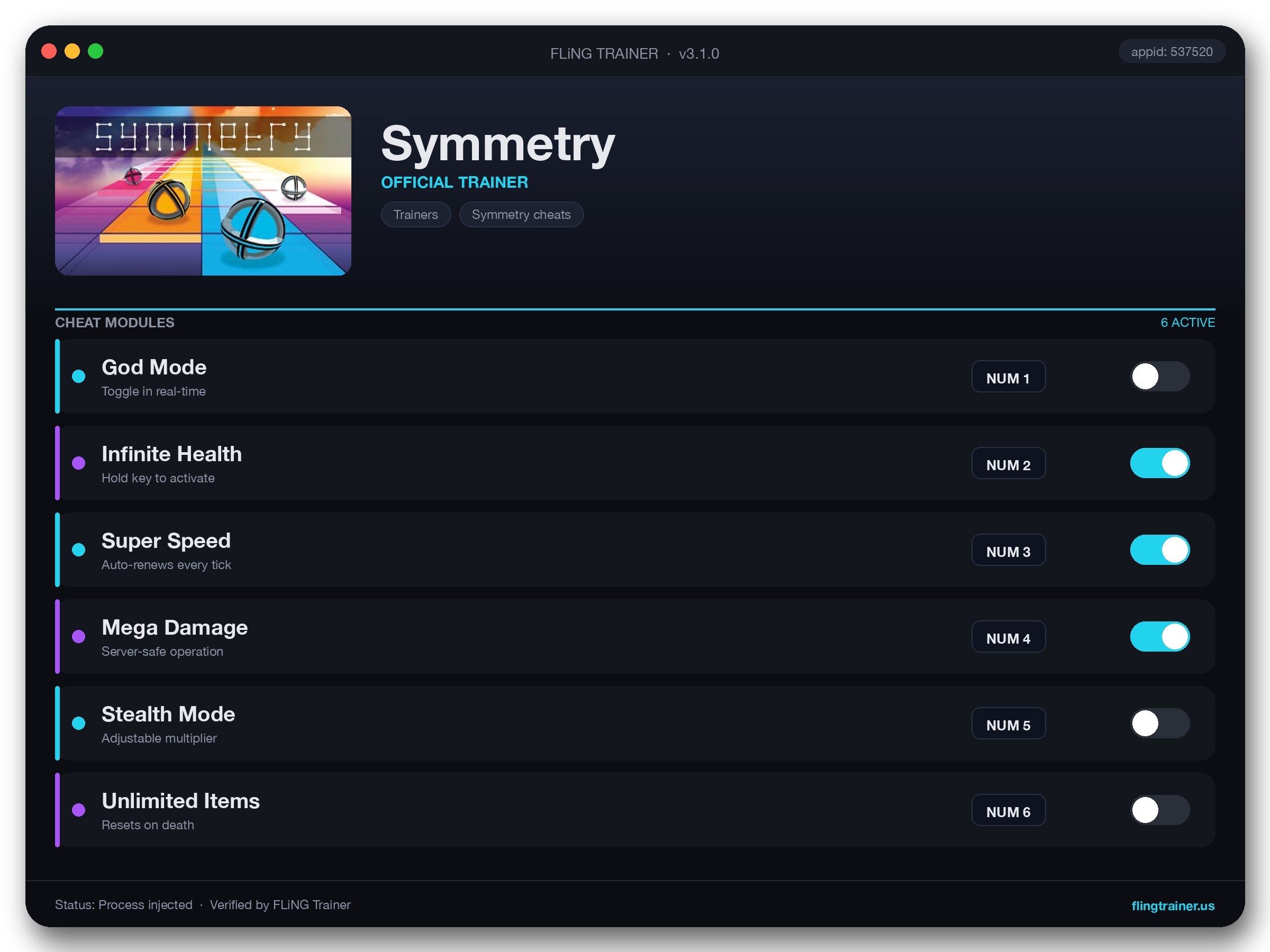 Symmetry Trainer interface