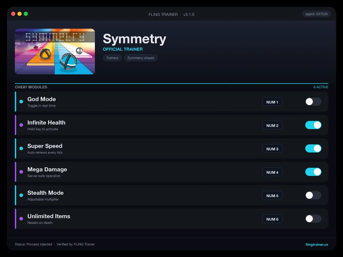 Symmetry Trainer interface