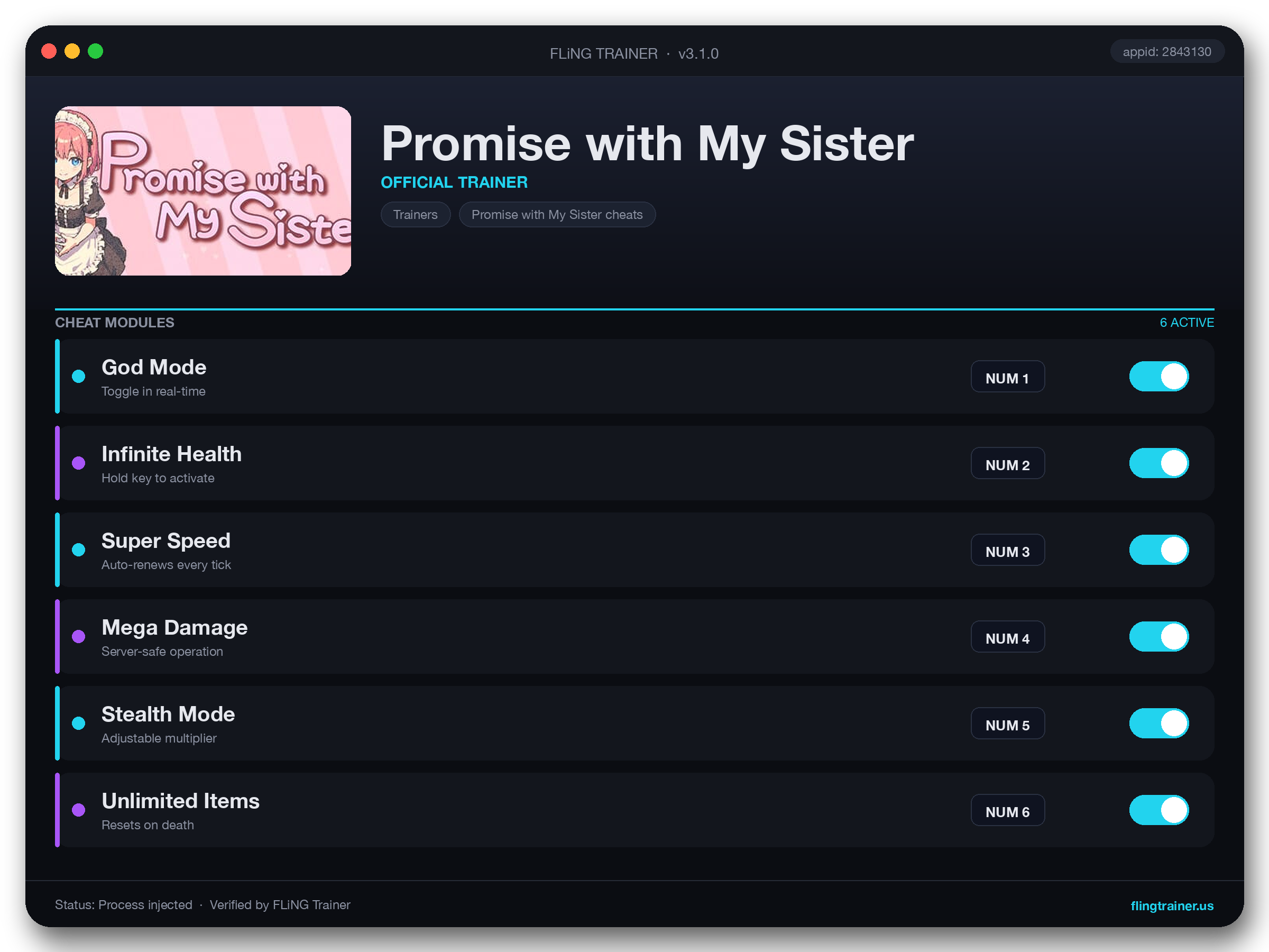 Promise with My Sister Trainer interface