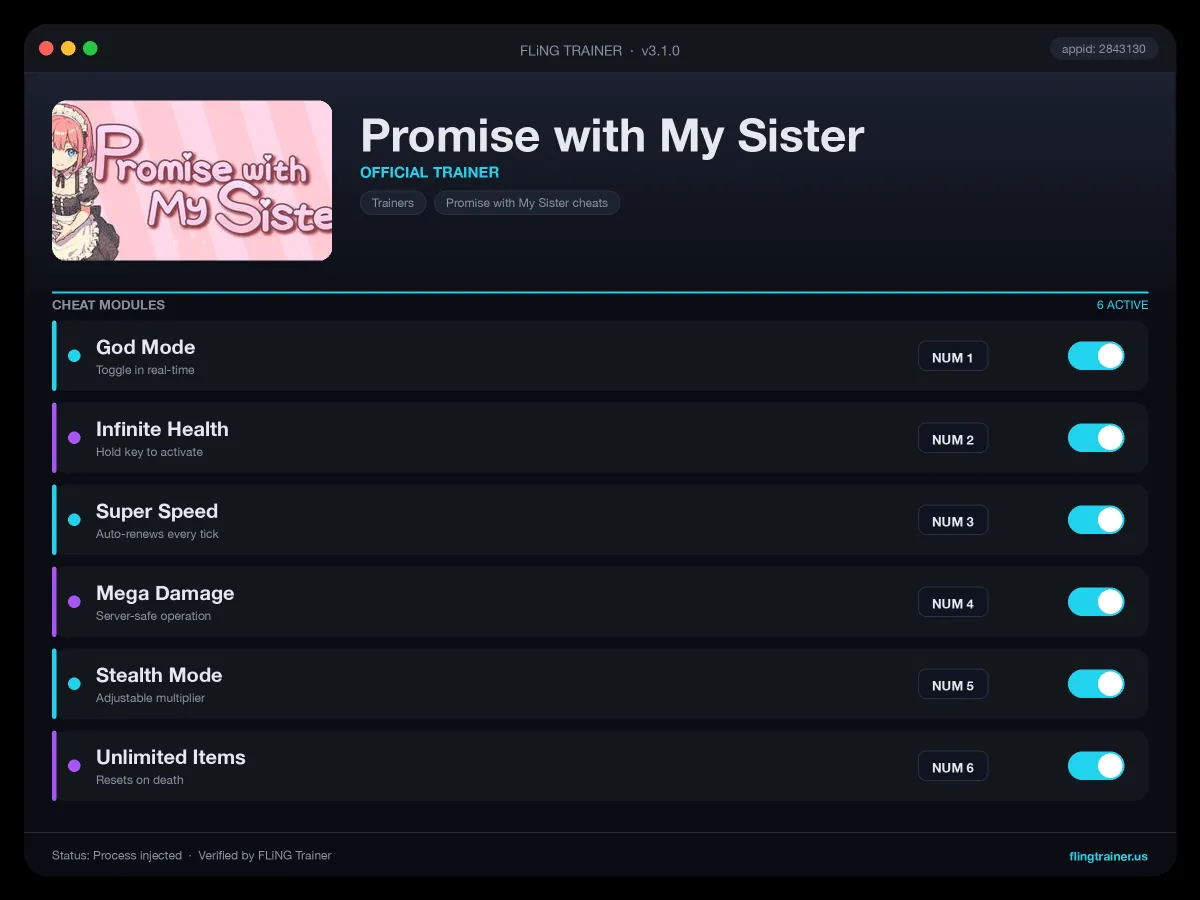 Promise with My Sister Trainer interface